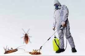 شركة رش مبيدات الحشرات بالرياض