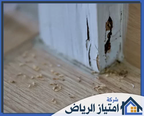 رش النمل الابيض بالرياض 0506986916 شركة امتياز الرياض إطار باب متهالك تبرز فيه ثقوب النمل الأبيض مع تراكم الفضلات والنشارة على الأرضية الخشبية.