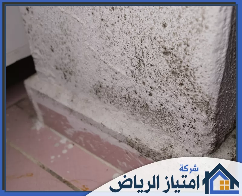 شركة فحص رطوبه بالدمام 0506986916 امتياز الرياض خبير فحص الرطوبة والتشققات بالدمام يقيّم حالة المبنى بالكامل ويضع حلول فورية للعزل ومنع نمو العفن والفطريات.